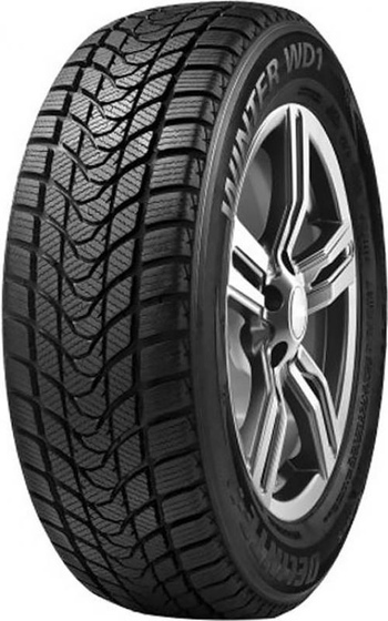 DELINTE WINTER WD1