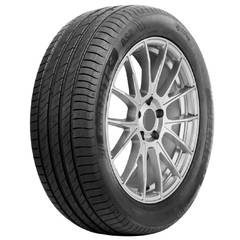 DELINTE DS2 205/45R16 87W XL летняя