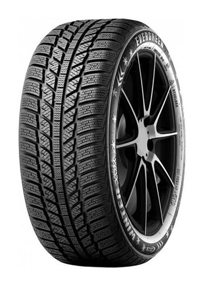 Шина EVERGREEN EW62 205/65R16 95H зимняя Шина EVERGREEN EW62 205/65R16 95H зимняя
