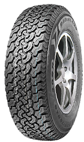 LEAO RADIAL 620