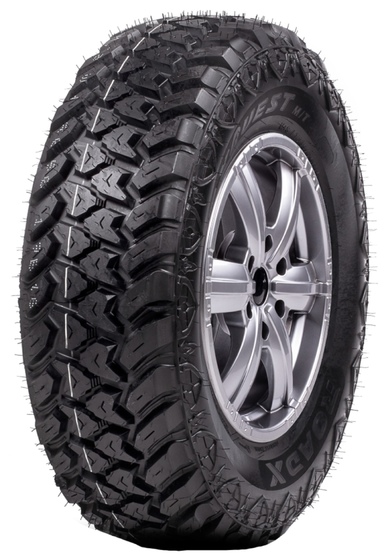 ROADX RXQUEST MT
