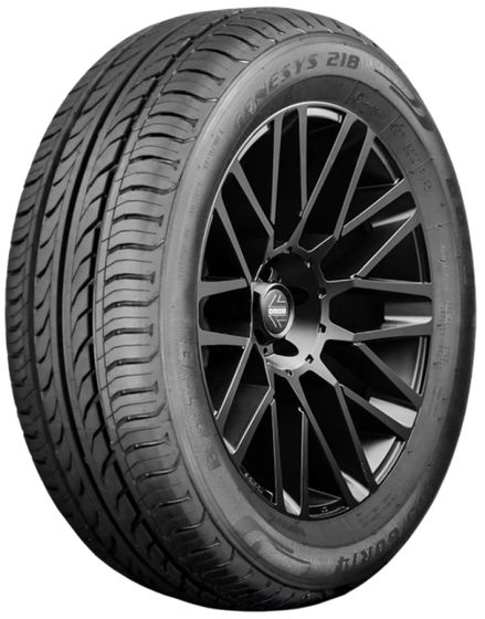 Шина BOTO GENESYS 218 155/65R13 73T летняя